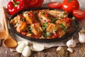 Georgian cuisine: Chakhokhbili chicken stew with vegetables. clo