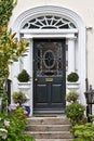 Georgian door, Dublin, Ireland Royalty Free Stock Photo