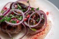 georgian fried pork sausages kupaty with onion, cilantro on pita on white plate Royalty Free Stock Photo