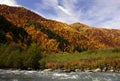 Georgian hills with colorful autumn leaves of trees and blue river on background of bright blue sky, Svaneti mountains Royalty Free Stock Photo