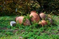 Georgian jugs, half-buried in the ground, display traditional pottery. This cultural image captures the essence of