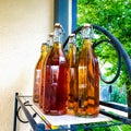 Georgian natural white wine bottled in glass bottles. Close up shot