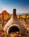 A Georgian qvevri partially buried in a vineyard, with grapevines and fallen autumn leaves surrounding it