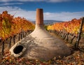 A Georgian qvevri partially buried in a vineyard, with grapevines and fallen autumn leaves surrounding it