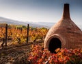 A Georgian qvevri partially buried in a vineyard, with grapevines and fallen autumn leaves surrounding it