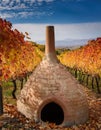 A Georgian qvevri partially buried in a vineyard, with grapevines and fallen autumn leaves surrounding it