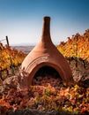 A Georgian qvevri partially buried in a vineyard, with grapevines and fallen autumn leaves surrounding it