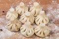 Georgian raw Khinkali Royalty Free Stock Photo
