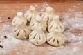 Georgian raw Khinkali Royalty Free Stock Photo