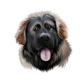 Georgian Shepherd Dog breed digital art illustration isolated on white. Popular puppy portrait with text. Cute pet hand drawn Royalty Free Stock Photo