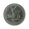 20 georgian tetri coin 1993 obverse Royalty Free Stock Photo