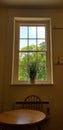 Georgian window with vase. Royalty Free Stock Photo