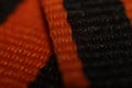 The Georgy Ribbon in maximum magnification macro