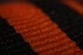 The Georgy Ribbon in maximum magnification macro