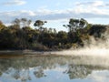 Geothermal Activity in Kuirau Park, New Zealand