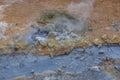 Geothermal Activity Near a Steam in Iceland