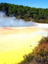 Geothermal Activity in New Zealand Royalty Free Stock Photo