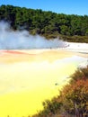 Geothermal Activity in New Zealand