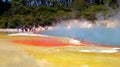 Geothermal Activity in Rotorua