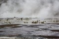 Geothermal activity in volcanic area Royalty Free Stock Photo