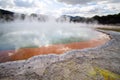 Geothermal area Wai-O-Tapu in New-Zealand hot water champage pool