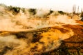 Geothermal Area Yellowstone National  Park Royalty Free Stock Photo