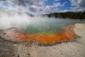 Geothermal area Wai-O-Tapu in New-Zealand hot water champage  pool Royalty Free Stock Photo