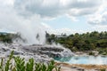 Geothermal field with Geyser at Whakarewarewa village, New Zealand Royalty Free Stock Photo