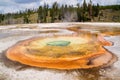 Geothermal geyser Royalty Free Stock Photo