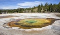 Geothermal Geyser Royalty Free Stock Photo