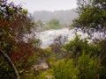 Geothermal geyser Royalty Free Stock Photo