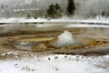 Geothermal geyser in Yellowstone National Park Royalty Free Stock Photo