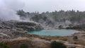 Geothermal hot pools in Te Whakarewarewa Valley