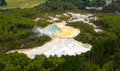 Geothermal Landscape with hot boiling mud and sulphur springs due to volcanic activity in Wai-O-Tapu, Thermal Wonderland New Royalty Free Stock Photo
