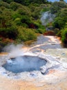 Geothermal Pool at Waimangu, Rotorua, New Zealand