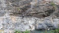 Geothermal smoke and hot spring water erupt from the canyon cliffs.