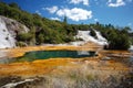 Geothermal spring in Orakei Korako Hidden Valley. North Island new zealand