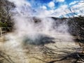 Geothermal spring at Tokaanu Thermal walk on the North Island of New Zealand