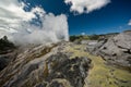 Geothermal terrace and pohutu geyser