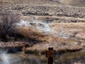 Geothermal vent runoff stream in Northern Nevada Royalty Free Stock Photo