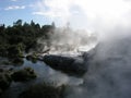 Geothermal vents Royalty Free Stock Photo