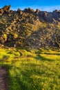 The geothermal wellspring smokes among  grass Royalty Free Stock Photo