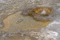 Geothermical waters in Upper Old Faithful Basin