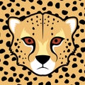 Gepard face Royalty Free Stock Photo