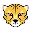Gepard face Royalty Free Stock Photo