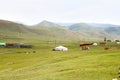 The ger camp in a large meadow at Ulaanbaatar , Mongolia Royalty Free Stock Photo