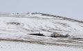 Ger yurt in a winter landscape of northern Mongolia