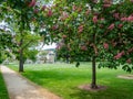 Gera city park in spring