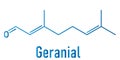 Geranial lemon fragrance molecule. Citral. Skeletal formula.