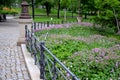 Geranium dalmaticum park garden with rich flora of pink and fairy low perennials sidewalks of cubes paving cobblestone granite Royalty Free Stock Photo
